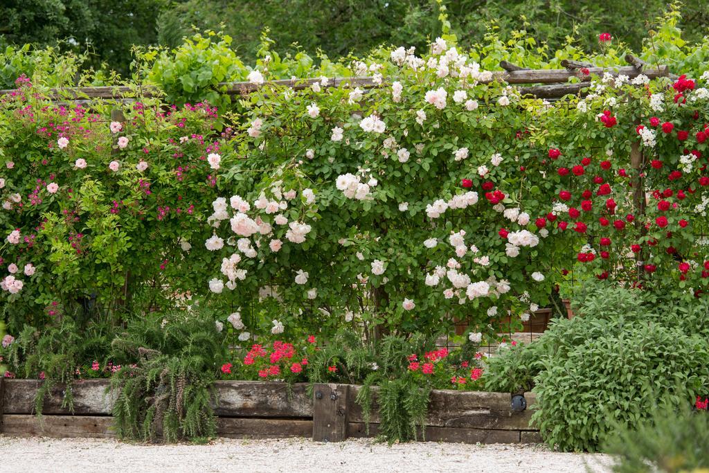 Ca'Bevilacqua Bed&Breakfast Bertinoro Eksteriør bilde