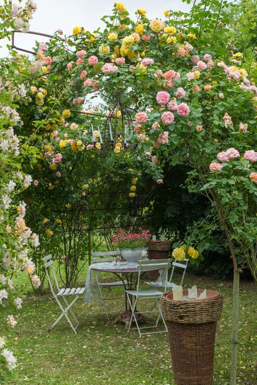 Ca'Bevilacqua Bed&Breakfast Bertinoro Eksteriør bilde